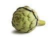 Artichaut Blanc De France Par 700g